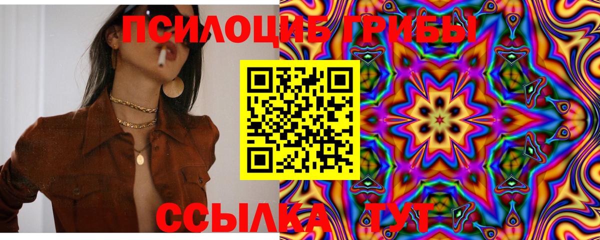 Благодарный  даркнет сайт  Вход с VPN  Псилоцибиновые грибы Psilocybine cubensis 